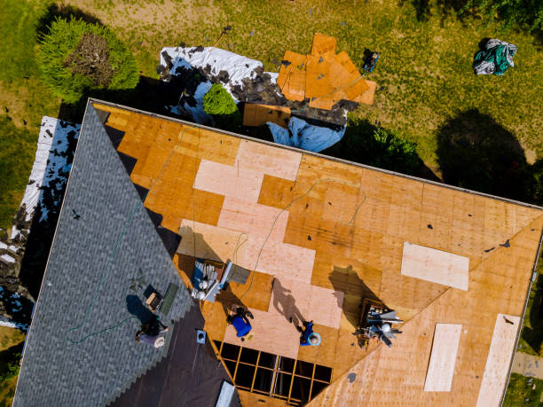 Roof Gutter Cleaning in Winchester, TN