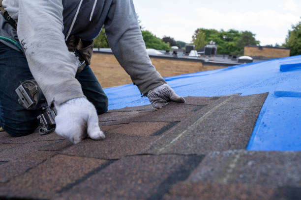 Best Roof Repair Specialists  in Winchester, TN
