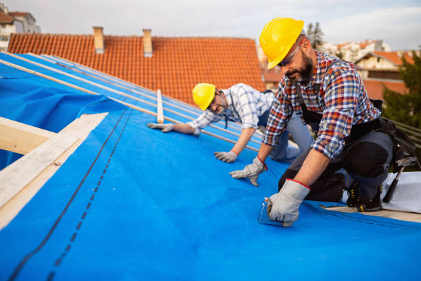 Best Gutter Installation and Roofing  in Winchester, TN