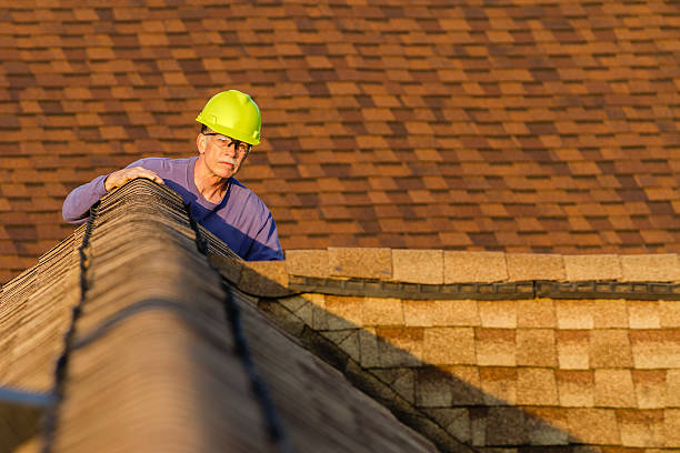 Best Roof Gutter Cleaning  in Winchester, TN